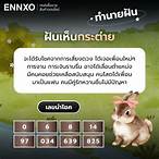 กระต่ายตีเป็นเลขอะไร